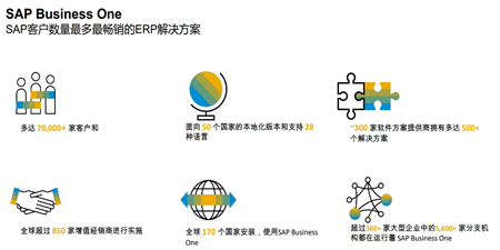 SAP B1 10.0 - 無法獲取訪問令牌，請與管理員聯(lián)系